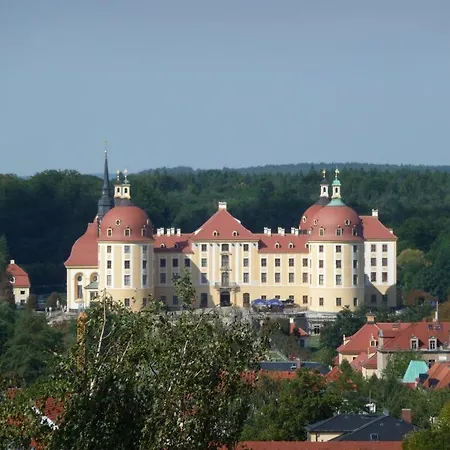 Brauer